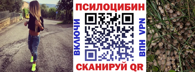 Псилоцибиновые грибы Psilocybine cubensis  Нариманов 